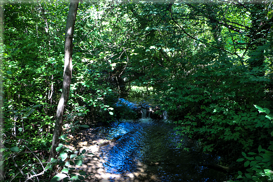 foto Giardini Trauttmansdorff - Paesaggi dell'Alto Adige